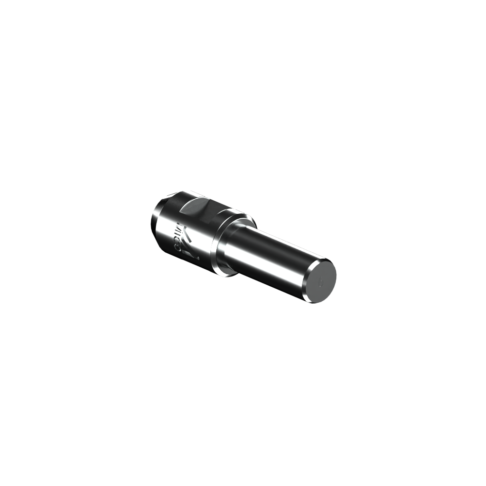 Dog Bolt Thread
